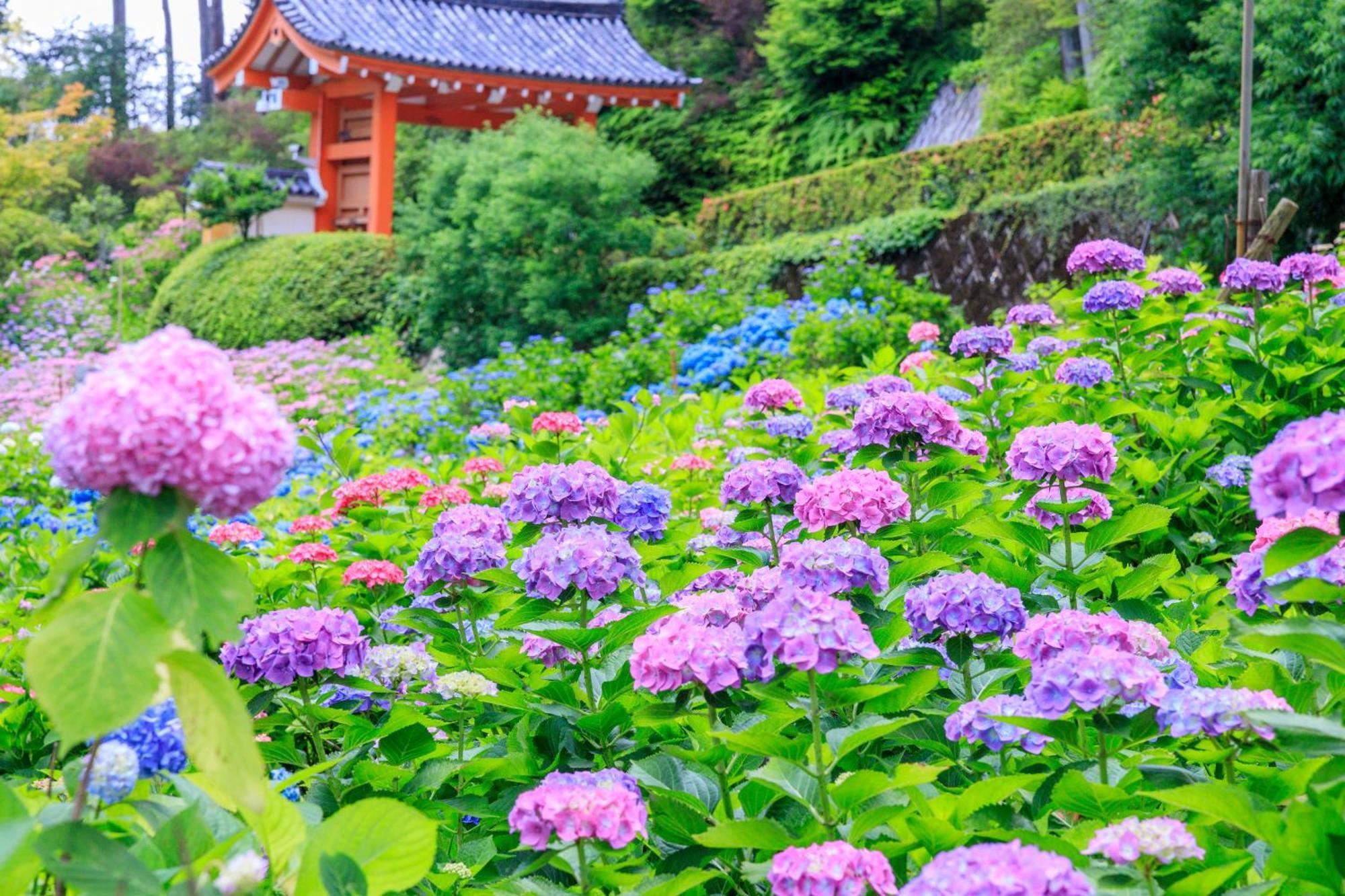 Mimaru Suites Kyoto Central Zewnętrze zdjęcie